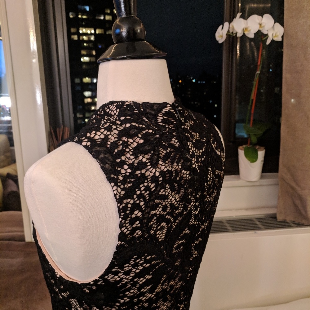 NWT Alexia Admor Lace Mini Dress - Picture 8 of 8